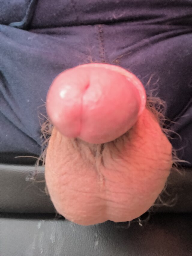 jajaReno