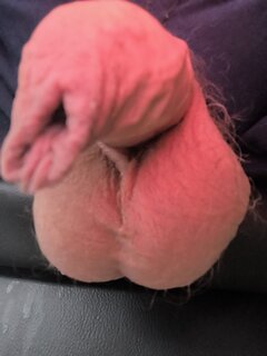 IMG_20250314_164844.jpg