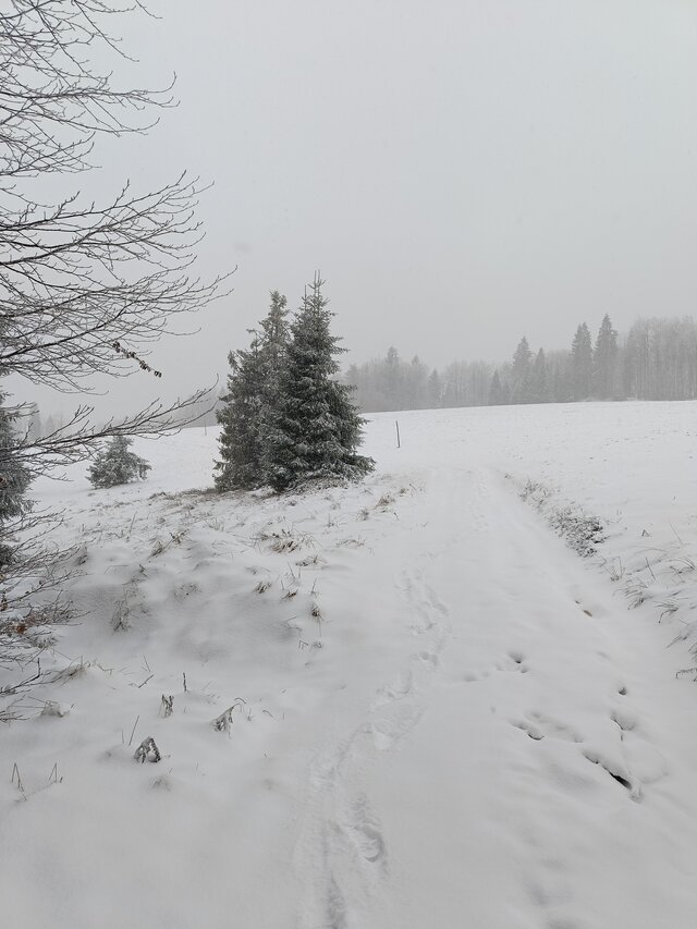 Lukaseg