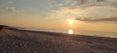 IMG_20250315_172033.jpg