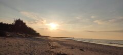 IMG_20250315_170216.jpg