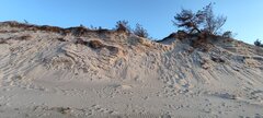 IMG_20250315_170354.jpg