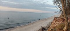 IMG_20250315_174503.jpg