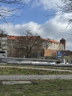 IMG_3367.jpeg
