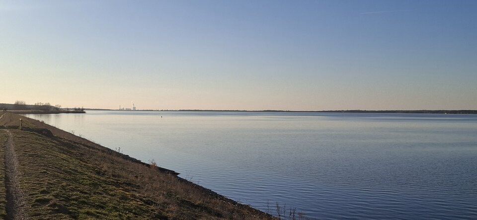 20250316_165424.jpg - Mietowycukierek