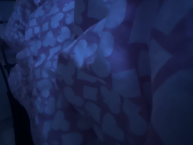 Jackmily
