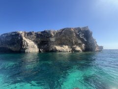 IMG_4313.jpeg