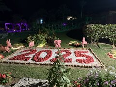 IMG_0324.jpeg