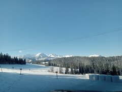 IMG20250318075825.jpg