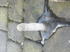 IMG_4848.jpeg
