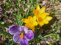1000017761.jpg