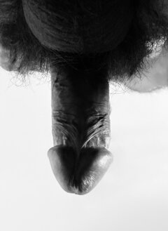 IMG_5524.jpeg