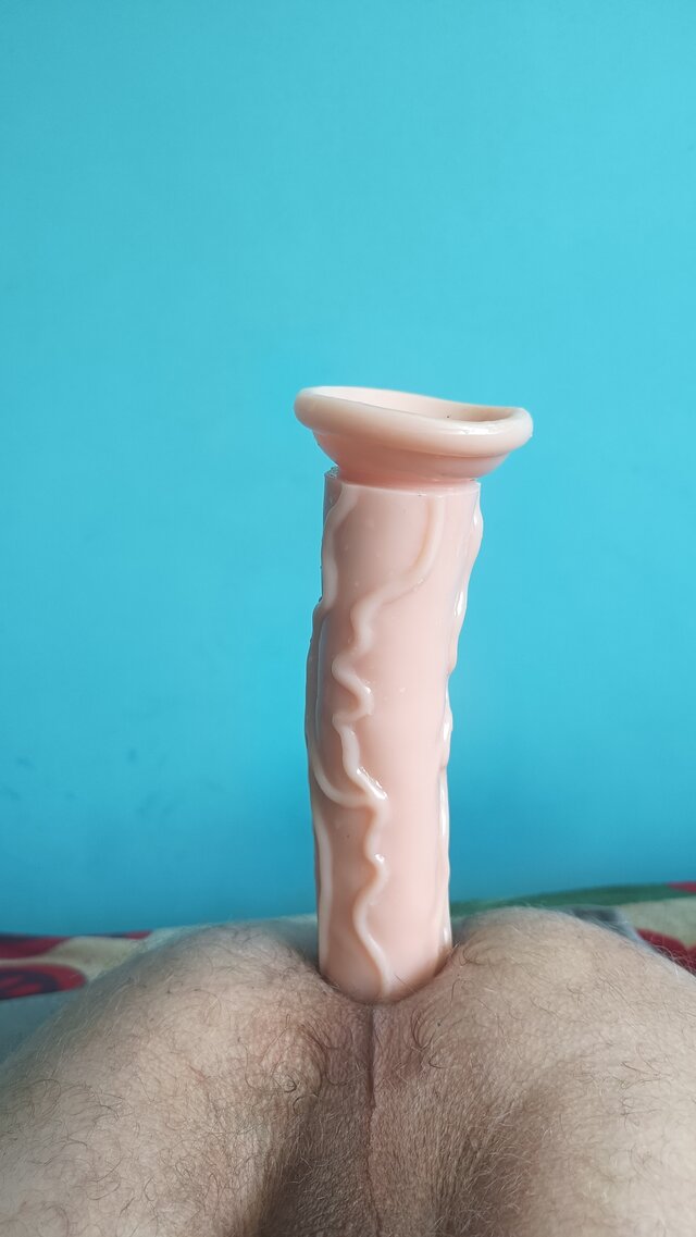 Pannpenisek1