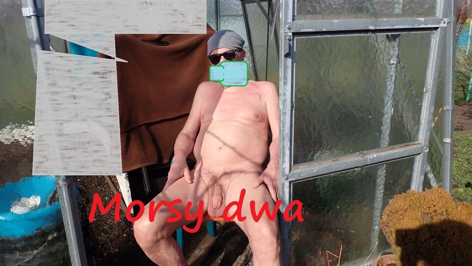 W zimowym słoneczku. - Morsy_dwa