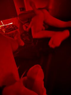 IMG_3824.jpeg