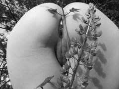 IMG_0016b.jpg