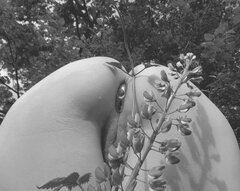 IMG_0017d.jpg