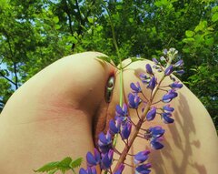 IMG_0017a.jpg