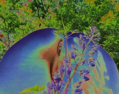 IMG_0017b.jpg