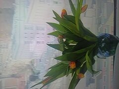 IMG_20250322_072838.jpg
