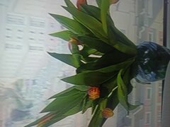 IMG_20250322_072825.jpg