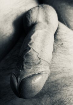 1742707440824.jpg