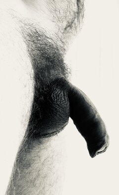 IMG_8767.jpeg