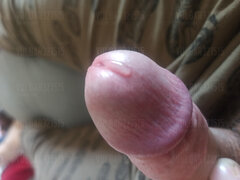 IMG_20250323_085212.jpg