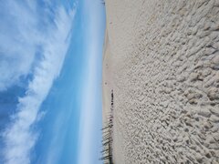 IMG_20221001_100754205.jpg