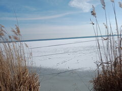 IMG 2025 02 21 130850.jpg