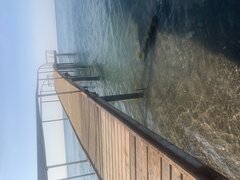 IMG_3223.jpeg