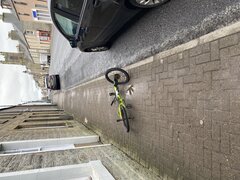 IMG_0260.jpeg