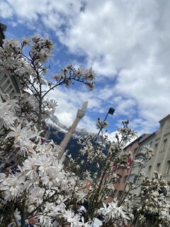 IMG_3336.jpeg