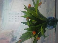 IMG_20250322_072834.jpg