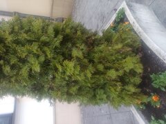 image285605048679436363.jpg