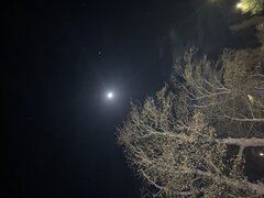 IMG_3294.jpeg
