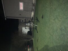 IMG_3317.jpeg