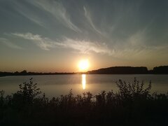 IMG_20240908_183334_707.jpg