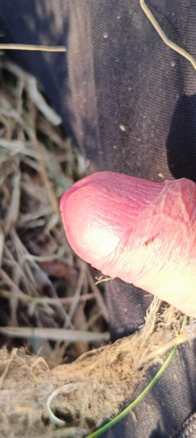 ja_arek