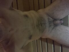 IMG_9673.jpeg