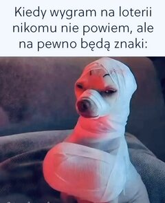 IMG_3479.jpeg