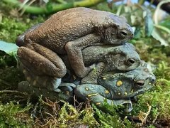 IMG_3476.jpeg