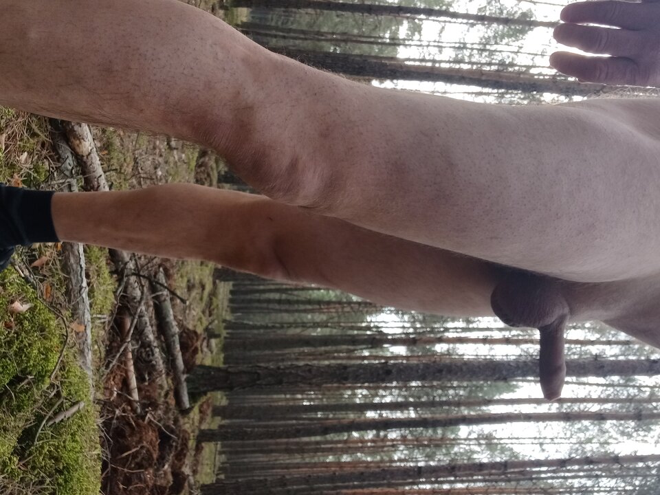 20250330_101043.jpg - Wpja