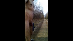OŻAROWICE - spacer w lesie 20250330_1155.mp4_snapshot_06.14.403