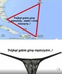 1000016921.jpg