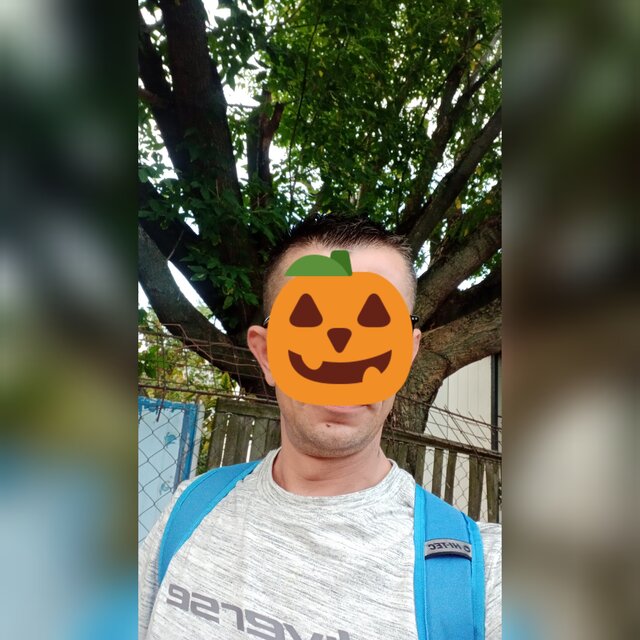 sponsobdg