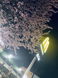 IMG_3502.jpeg