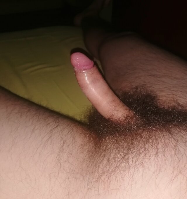 michal19812808