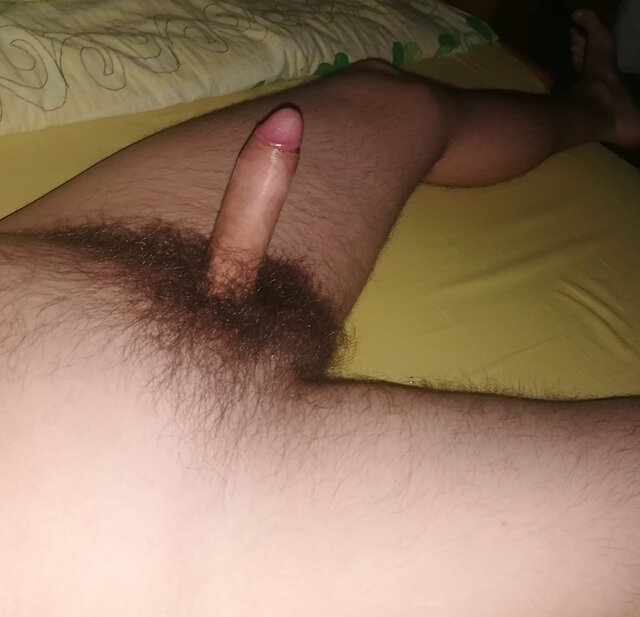 michal19812808