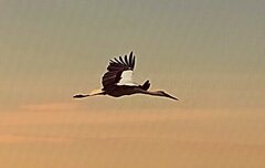 IMG_20250401_135838432~2.jpg